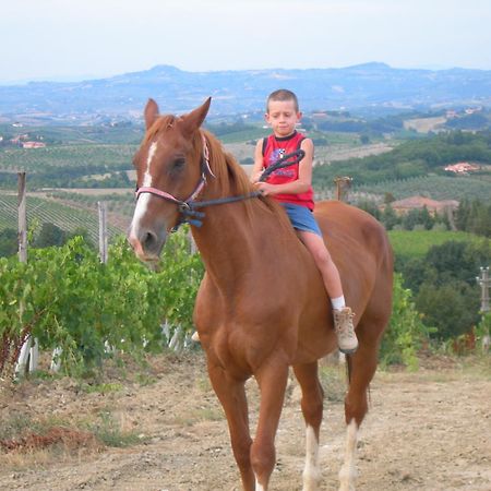 Agriturismo Podere La Marronaia San Gimignano Zewnętrze zdjęcie