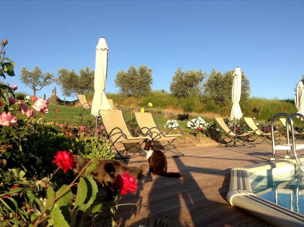 Agriturismo Podere La Marronaia San Gimignano Zewnętrze zdjęcie