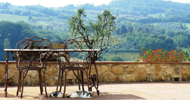 Agriturismo Podere La Marronaia San Gimignano Zewnętrze zdjęcie
