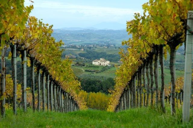 Agriturismo Podere La Marronaia San Gimignano Zewnętrze zdjęcie